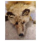 Fox Stole