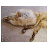 Fox Stole