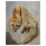 Fox Stole