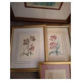 Picture Lot - Flower Prints, Stencils, Etc