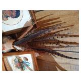 Regional Art, Pottery, Moccassins, Feather Art, Platter, Etc