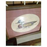 Bird, Duck, Nature Pictures & Bag of Pheasant Feathers