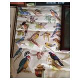 Bird, Duck, Nature Pictures & Bag of Pheasant Feathers
