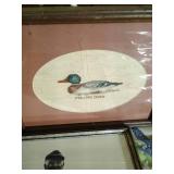 Bird, Duck, Nature Pictures & Bag of Pheasant Feathers