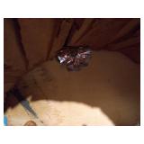 Homemade Nativity in Log w/ Light