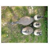 Five Big Canada Goose Decoys