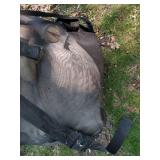 Big Bag of Snow Goose Decoys