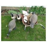 Three Large Canada Goose Decoys w/ Others & Small Wheelbarrow