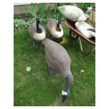 Three Large Canada Goose Decoys w/ Others & Small Wheelbarrow