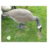 Three Large Canada Goose Decoys w/ Others & Small Wheelbarrow