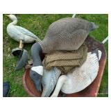 Three Large Canada Goose Decoys w/ Others & Small Wheelbarrow