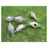 Bag of Duck Decoys & Stands