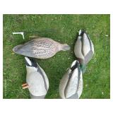 Bag of Duck Decoys & Stands
