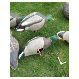 Bag of Duck Decoys & Stands