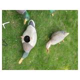 Bag of Duck Decoys & Stands