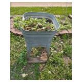 Old Washing Sink Planter