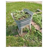 Old Washing Sink Planter