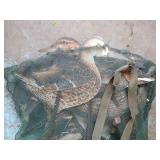 Silhouette Duck Decoys