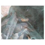 Silhouette Duck Decoys