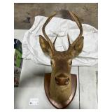 DEER MOUNT