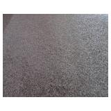 (HG) Carpet Remnant 12 Ft x 9 Ft...