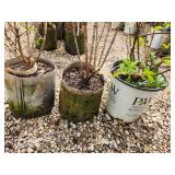 Lot of (3) Hydrangea - Bobo - Proven Winners #2 Pot