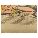 The Human Fly Comic Book Lot