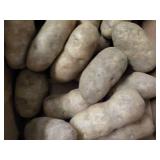 50 lb. box Kitchen Kleen Russet Pot...