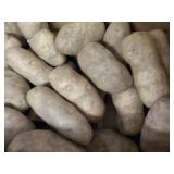 50 lb. box Kitchen Kleen Russet Pot...