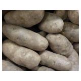 50 lb. box Kitchen Kleen Russet Pot...