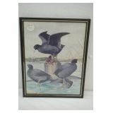 Framed Wildlife Print. Strubbe