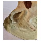 Vintage Ceramic Male Figure with Dog