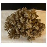 Shell and Coral Decor