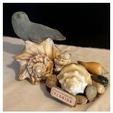 Shell and Coral Decor