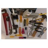 Large Hand Tool Lot + Organizer