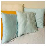 Variety of Shapes and Sizes Pillow Forms