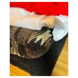 Fantastic Lot of Large Fleece and More!