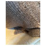 Lovely Large Yardage of Various Fabrics in Neutral Tones