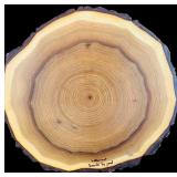 Live Edge Wooden Trivet, Pineapple Shaped Small Bowl and More