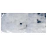 Medium to Extra Large Fabric Remnants