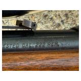 222 Remington With Scope