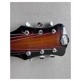 Recording King Slide Guitar