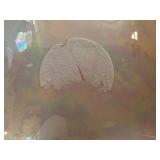 Fenton Cranberry Opalescent Hobnail Cruet & VTG Collection of Decorative Plates and Figurines Including Frances Hook Numbered Plate and Willow Tree "Courage"