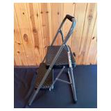 Folding Two-Step Metal Ladder with Anti-Slip Steps