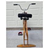 Schwinn Exercise Bike with Adjustable Tension