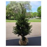 Battery-Operated Tabletop Christmas Tree with Burlap Base