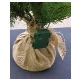 Battery-Operated Tabletop Christmas Tree with Burlap Base