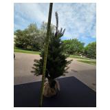 Battery-Operated Tabletop Christmas Tree with Burlap Base