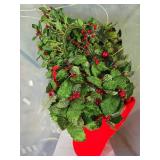 Collection of Holiday/Winter Decorations including Faux Greenery and Ornaments