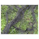 NET AND MORE NETTING